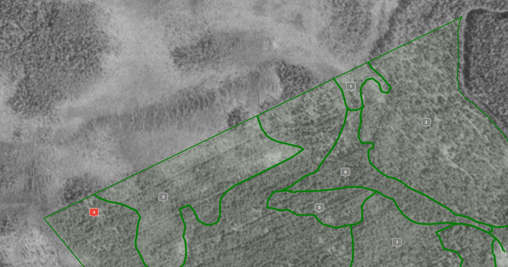 Vanhat Ilmakuvat ForestKITiss Kertovat Metsien Ja Soiden Historiasta Vanhat Ilmakuvat ForestKITiss Kertovat Metsien Ja Soiden Historiasta